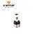 Pivo Dianteiro - Troller T4 2.8 12v 2006 a 2011 - Inferior - Imagem 1