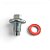 Bujão Dreno Carter Óleo Motor Palio Weekend 1.6 16v 2011 a 2018 - Imagem 2