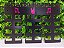 Porta Medalha personalizado com nome, tema, time, logo etc em mdf - Imagem 8