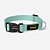 Coleira - Verde Água - Imagem 1