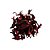 HIBISCO EM FLORES - Imagem 1