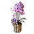 Orquídea Phalaenopsis no Vaso de madeira Roxa - Imagem 1