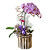 Orquídea Phalaenopsis no Vaso de madeira Roxa - Imagem 2