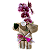 Orquídea Phalaenopsis no Vaso de madeira Roxa/Rosa - Imagem 2