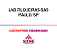 Exame Toxicológico - Sao Paulo-SP - LAB.FILGUEIRAS-SAO PAULO/SP (C.N.H, Empregado CLT, Concurso Público) - Imagem 1