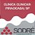 Exame Toxicológico - Piracicaba-SP - CLINICA CLINICAR-PIRACICABA/SP (C.N.H, Empregado CLT, Concurso Público) - Imagem 1