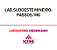 Exame Toxicológico - Passos-MG - LAB.SUDOESTE MINEIRO-PASSOS/MG (C.N.H, Empregado CLT, Concurso Público) - Imagem 1