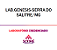 Exame Toxicológico - Serra Do Salitre-MG - LAB.GENESIS-SERRA DO SALITRE/MG (C.N.H, Empregado CLT, Concurso Público) - Imagem 1