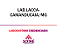 Exame Toxicológico - Camanducaia-MG - LAB.LACCA-CAMANDUCAIA/MG (C.N.H, Empregado CLT, Concurso Público) - Imagem 1