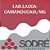 Exame Toxicológico - Camanducaia-MG - LAB.LACCA-CAMANDUCAIA/MG (C.N.H, Empregado CLT, Concurso Público) - Imagem 1