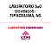 Exame Toxicológico - Tupaciguara-MG - LABORATORIO SAO DOMINGOS - TUPACIGUARA/MG (C.N.H, Empregado CLT, Concurso Público) - Imagem 1