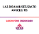 Exame Toxicológico - Santo Angelo-RS - LAB.BIOANALISES-SANTO ANGELO/RS (C.N.H, Empregado CLT, Concurso Público) - Imagem 1