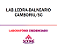 Exame Toxicológico - Balneario Camboriu-SC - LAB.LEDRA-BALNEARIO CAMBORIU/SC (C.N.H, Empregado CLT, Concurso Público) - Imagem 1