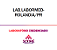 Exame Toxicológico - Rolandia-PR - LABORATORIO MEDICO DE ROLANDIA - ROLANDIA/PR (C.N.H, Empregado CLT, Concurso Público) - Imagem 1