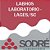 Exame Toxicológico - Lages-SC - LABHOS LABORATORIO - LAGES/SC (C.N.H, Empregado CLT, Concurso Público) - Imagem 1