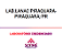 Exame Toxicológico - Piraquara-PR - LAB.LANAC PIRAQUARA-PIRAQUARA/PR (C.N.H, Empregado CLT, Concurso Público) - Imagem 1