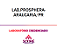 Exame Toxicológico - Araucaria-PR - LAB.PROSPHERA-ARAUCARIA/PR (C.N.H, Empregado CLT, Concurso Público) - Imagem 1