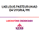 Exame Toxicológico - Uniao Da Vitoria-PR - LAB.LOUIS PASTEUR-UNIAO DA VITORIA/PR (C.N.H, Empregado CLT, Concurso Público) - Imagem 1