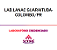 Exame Toxicológico - Colombo-PR - LAB.LANAC GUARAITUBA-COLOMBO/PR (C.N.H, Empregado CLT, Concurso Público) - Imagem 1