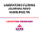 Exame Toxicológico - Novo Hamburgo-RS - LABORATORIO FLEMING(GUARANI)-NOVO HAMBURGO/RS (C.N.H, Empregado CLT, Concurso Público) - Imagem 1