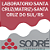 Exame Toxicológico - Santa Cruz Do Sul-RS - LABORATORIO SANTA CRUZ(MATRIZ)-SANTA CRUZ DO SUL/RS (C.N.H, Empregado CLT, Concurso Público) - Imagem 1