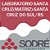 Exame Toxicológico - Santa Cruz Do Sul-RS - LABORATORIO SANTA CRUZ(MATRIZ)-SANTA CRUZ DO SUL/RS (C.N.H, Empregado CLT, Concurso Público) - Imagem 1