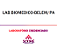Exame Toxicológico - Belem-PA - LAB.BIOMEDICO-BELEM/PA (C.N.H, Empregado CLT, Concurso Público) - Imagem 1