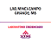 Exame Toxicológico - Campo Grande-MS - LAB.MINEI-CAMPO GRANDE/MS (C.N.H, Empregado CLT, Concurso Público) - Imagem 1