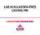Exame Toxicológico - Tres Lagoas-MS - LAB.AUXILIADORA-TRES LAGOAS/MS (C.N.H, Empregado CLT, Concurso Público) - Imagem 1