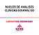 Exame Toxicológico - Goiania-GO - NUCLEO DE ANALISES CLINICAS-GOIANIA/GO (C.N.H, Empregado CLT, Concurso Público) - Imagem 1