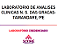 Exame Toxicológico - Tamandare-PE - LABORATORIO DE ANALISES CLINICAS N. S. DAS GRACAS-TAMANDARE/PE (C.N.H, Empregado CLT, Concurso Público) - Imagem 1