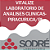 Exame Toxicológico - Piracuruca-PI - VITALIZE LABORATORIO DE ANALISES CLINICAS-PIRACURUCA/PI (C.N.H, Empregado CLT, Concurso Público) - Imagem 1