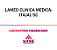 Exame Toxicológico - Itajai-SC - LAMED CLINICA MEDICA-ITAJAI/SC (C.N.H, Empregado CLT, Concurso Público) - Imagem 1