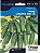 Sementes de Pepino SMR 58 Blue Line 10g Topseed Garden - Imagem 1