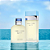 Light Blue Dolce&Gabbana - Perfume Feminino - Eau de Toilette - Imagem 6