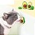 abacate lambe lambe catnip - Imagem 3