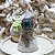 Anel de Prata 925 com Marcassitas e Pedra Ágata Verde Dinastia No.17/18 - Imagem 2