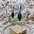 Brinco de Prata 925 com Marcassitas e Pedra Ágata Verde 4 cm - Imagem 3