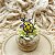 Anel de Prata 925 Tartaruga - Tartaruguinha Zoiuda - Imagem 6