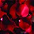 Pétalas de Rosas Vermelhas Naturais - Imagem 1