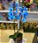 Orquídea Azul Premium - Imagem 1