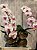 Orquídea Cascata Rosé Premium no Vidro - Imagem 1