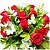 Buquê com 12 Rosas Colombianas Vermelhas com Balão Love - Imagem 3