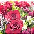 Buquê Alfa Barra – 24 Rosas Colombianas Vermelhas - Imagem 2