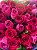 Buquê Mônaco - 50 Rosas Pink e Vermelha - Imagem 5