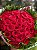 Buquê Impacto Supremo – 40 Rosas Colombianas - Imagem 1