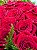 Buquê Impacto Supremo – 40 Rosas Colombianas - Imagem 5