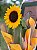 Girassol Radiante Plantado - Imagem 3