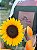 Girassol Radiante Plantado - Imagem 4