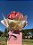 Begônia Especial Rosa - Imagem 2